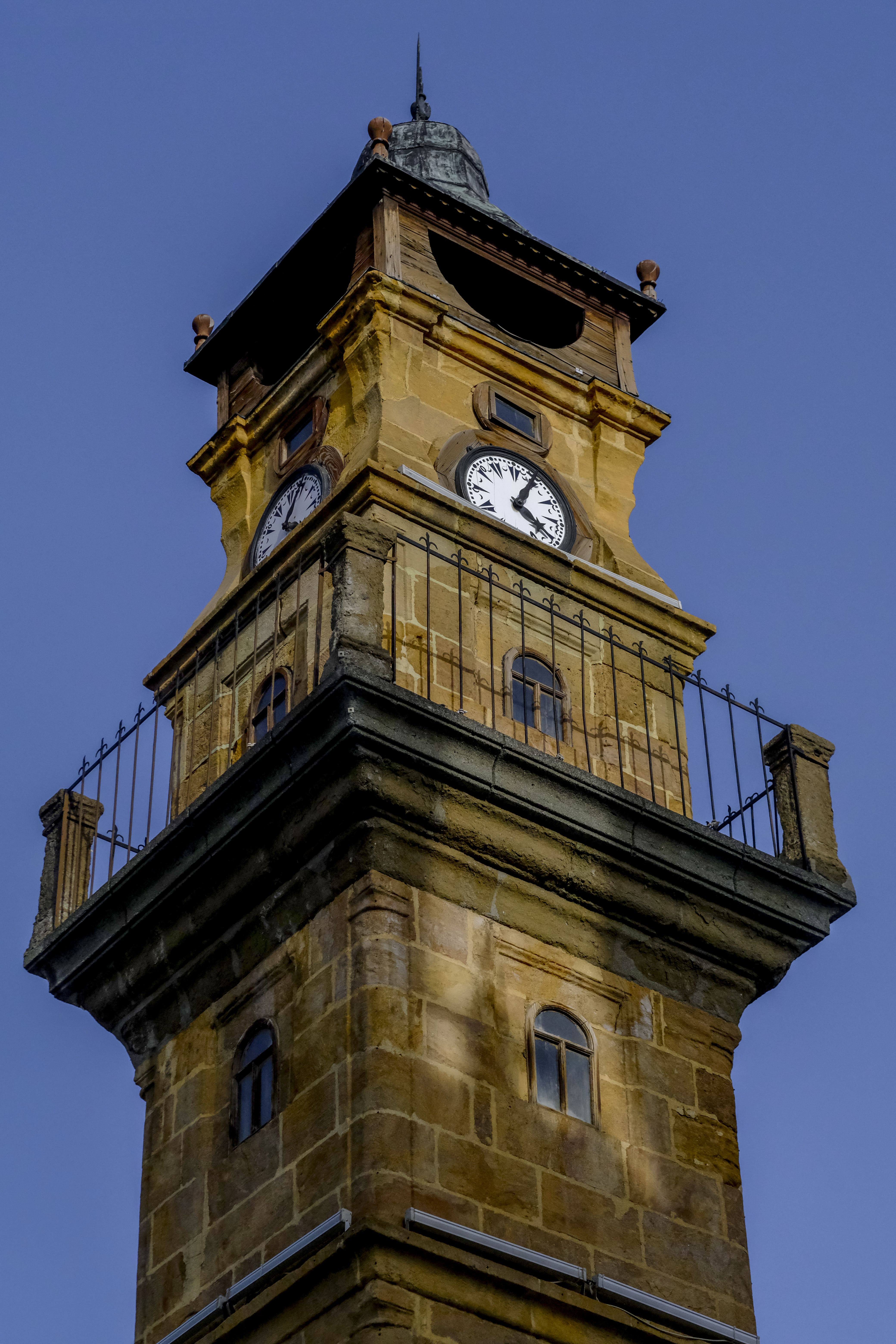 Owl Image